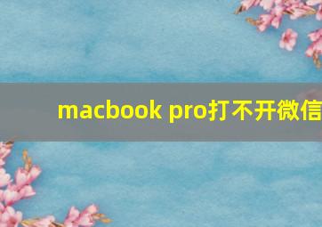 macbook pro打不开微信